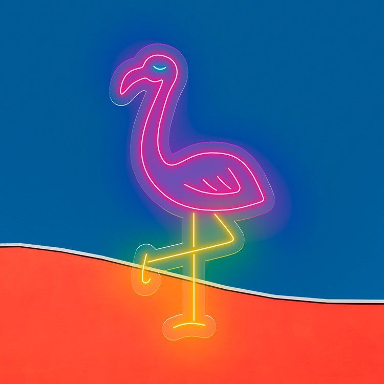 Bild von Neon Flamingo