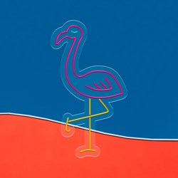 Mostrar detalles de Neón Flamenco Imagen de Neón Flamenco