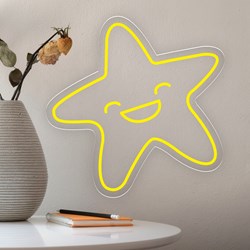 Show details for Low-Cost Star Neon Sign Picture of Low-Cost Star Neon Sign